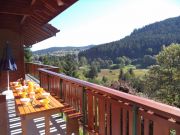 Vosges Mountains holiday rentals for 8 people: chalet no. 77741