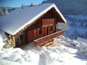 La Bresse Hohneck holiday rentals: chalet no. 77741