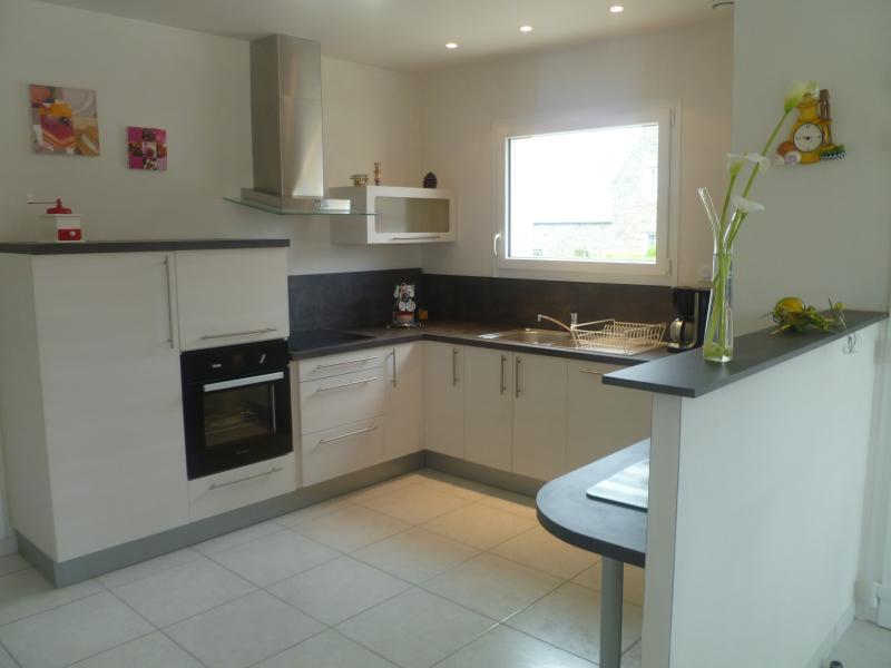 photo 1 Owner direct vacation rental Roscoff maison Brittany Finistre Open-plan kitchen