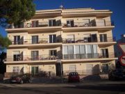 Rosas holiday rentals: appartement no. 90997