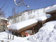 Les 2 Alpes holiday rentals for 12 people: chalet no. 93861