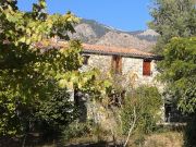 Corsica holiday rentals apartments: appartement no. 99563