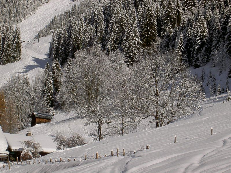 photo 3 Owner direct vacation rental Chtel appartement Rhone-Alps Haute-Savoie View from the property