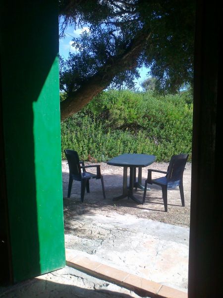 photo 5 Owner direct vacation rental Campos maison Balearic Islands Mallorca Garden