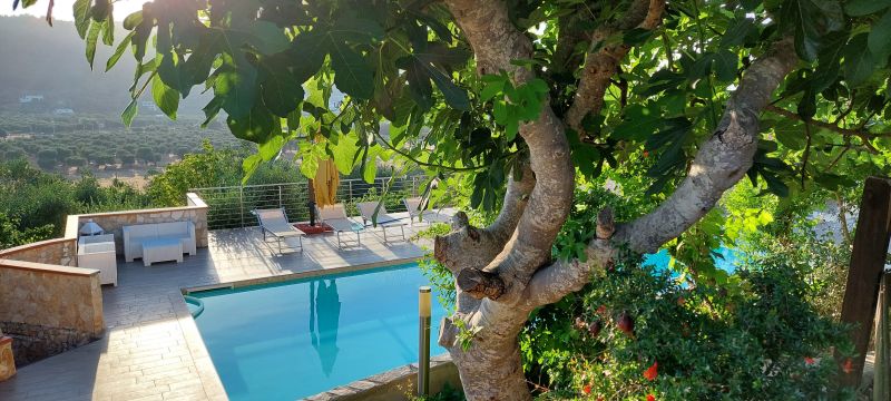 photo 12 Owner direct vacation rental Peschici bungalow Puglia Foggia Province Swimming pool