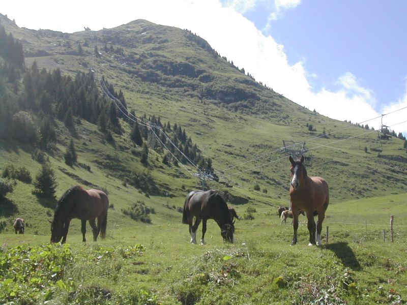 photo 17 Owner direct vacation rental Morzine appartement Rhone-Alps Haute-Savoie