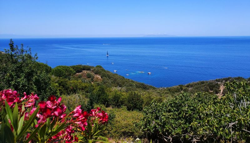 photo 11 Owner direct vacation rental Marciana appartement Tuscany Elba Island View from the balcony