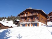 Les Saisies mountain and ski rentals: appartement no. 91423