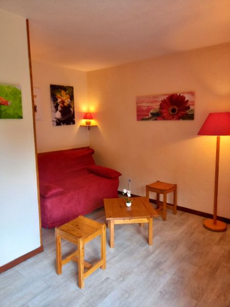 photo 7 Owner direct vacation rental Les 2 Alpes appartement Rhone-Alps Isre Living room