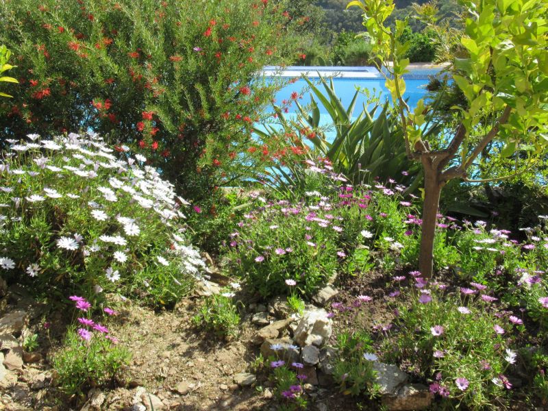 photo 26 Owner direct vacation rental La Londe-les-Maures villa Provence-Alpes-Cte d'Azur Var Garden