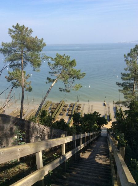 photo 28 Owner direct vacation rental Cap Ferret villa Aquitaine Gironde Beach