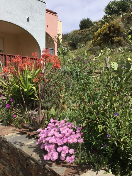 photo 10 Owner direct vacation rental Cerbre appartement Languedoc-Roussillon Pyrnes-Orientales View from terrace