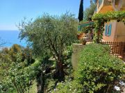 Roquebrune Cap Martin holiday rentals: maison no. 123209