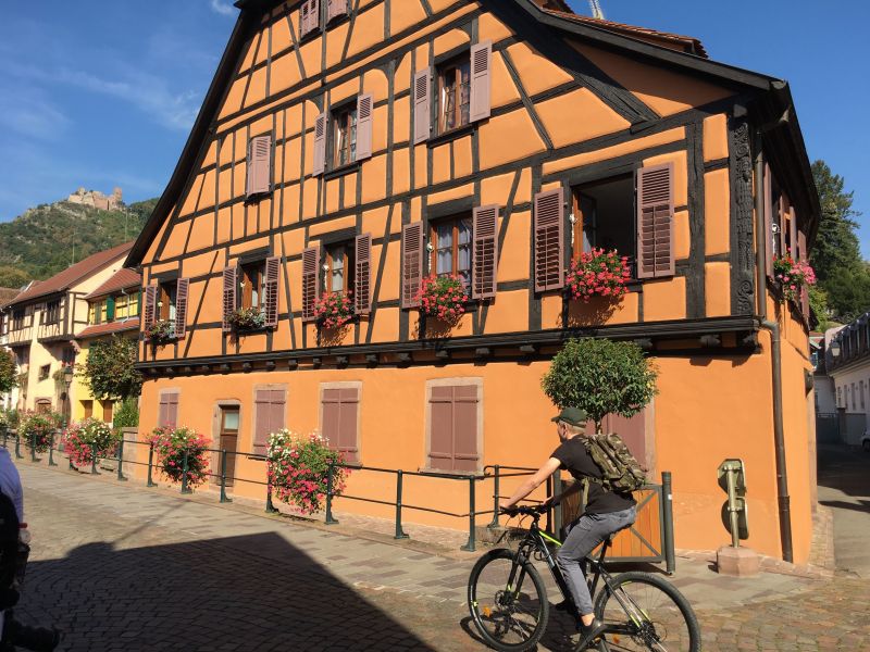 photo 19 Owner direct vacation rental Ribeauvill gite Alsace Haut-Rhin Surroundings