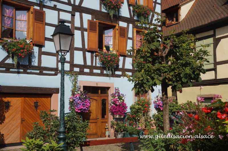 photo 20 Owner direct vacation rental Ribeauvill gite Alsace Haut-Rhin Surroundings