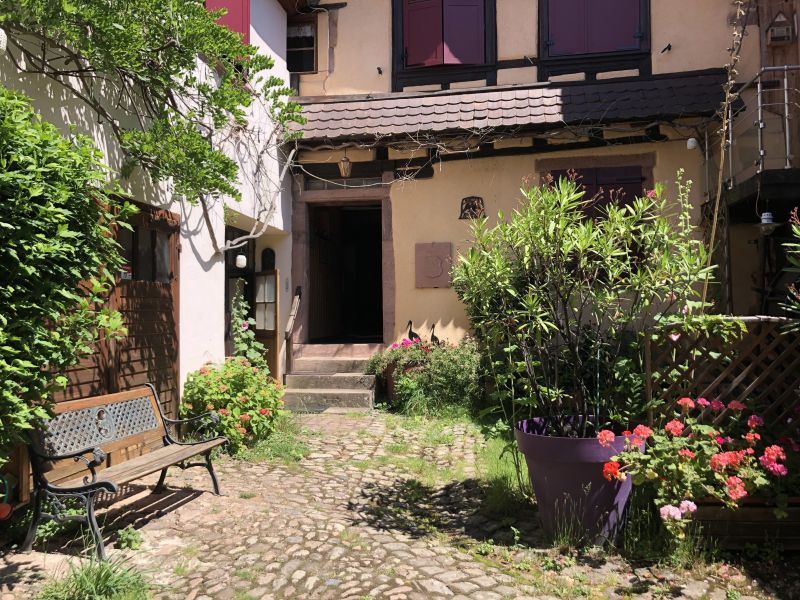photo 29 Owner direct vacation rental Ribeauvill gite Alsace Haut-Rhin Garden