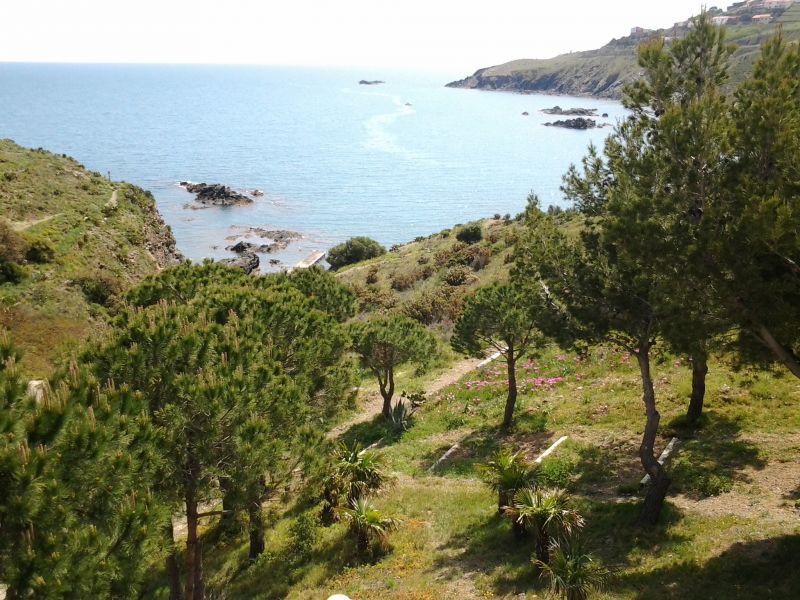 photo 18 Owner direct vacation rental Banyuls-sur-Mer appartement Languedoc-Roussillon Pyrnes-Orientales Outside view