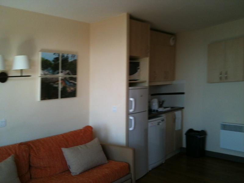 photo 3 Owner direct vacation rental Cannes appartement Provence-Alpes-Cte d'Azur Alpes-Maritimes Living room