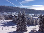 Franche-Comt mountain and ski rentals: appartement no. 73967