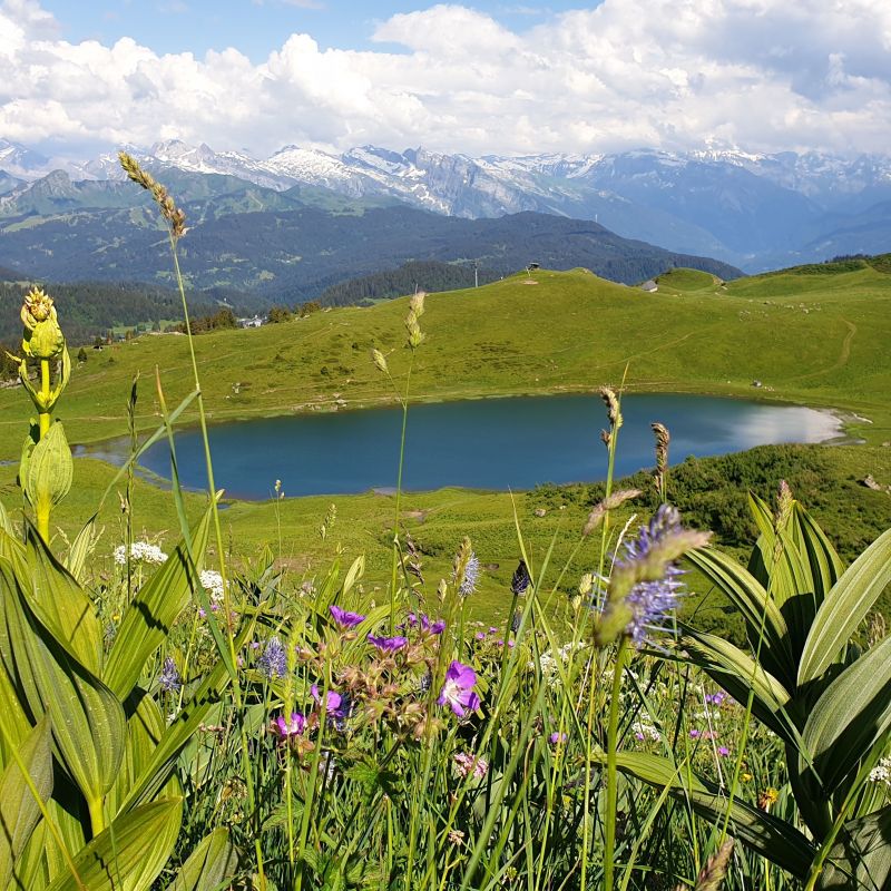 photo 15 Owner direct vacation rental Praz de Lys Sommand studio Rhone-Alps Haute-Savoie
