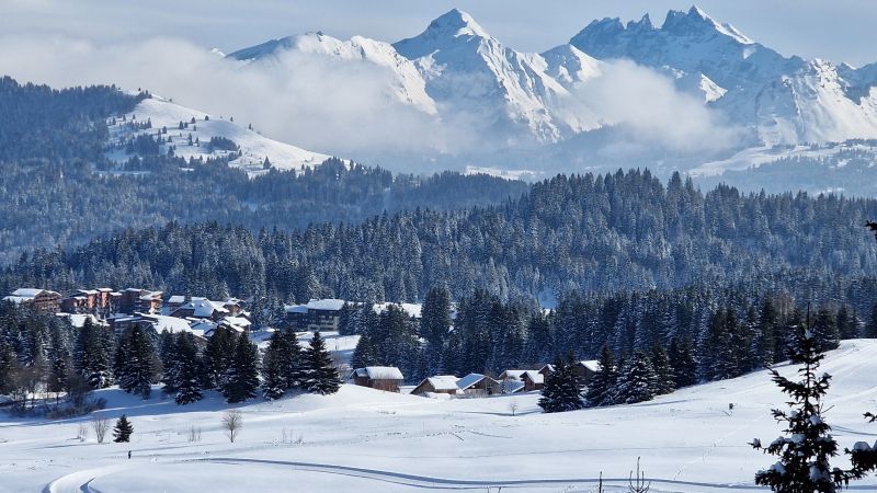 photo 8 Owner direct vacation rental Praz de Lys Sommand studio Rhone-Alps Haute-Savoie
