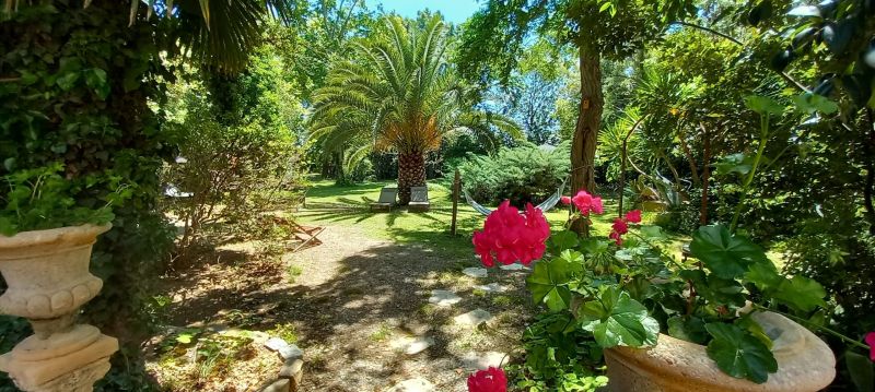 photo 21 Owner direct vacation rental Narbonne gite Languedoc-Roussillon Aude Garden